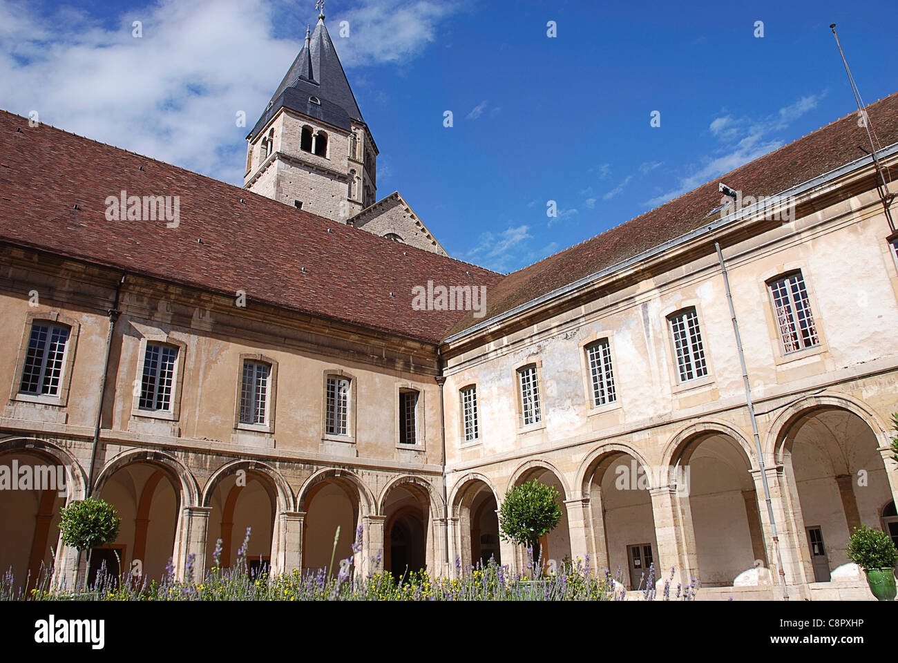 France, Saône-et-Loire, l'Abbaye de Cluny, cour Banque D'Images