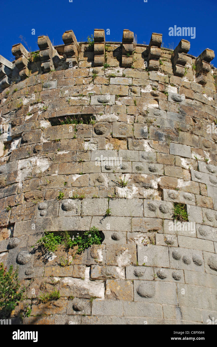 France, Bourgogne, remparts du vieux château Banque D'Images