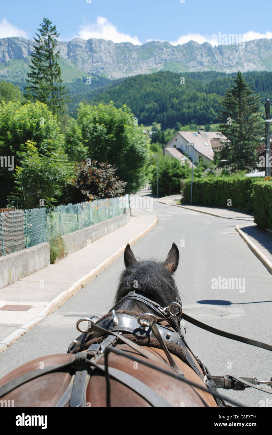 France, Rhône-Alpes, Villard-de-Lans, cheval tirant panier sur route dans les montagnes Banque D'Images