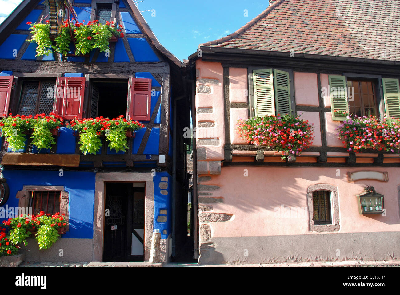 France, Alsace, caves à vin Banque D'Images