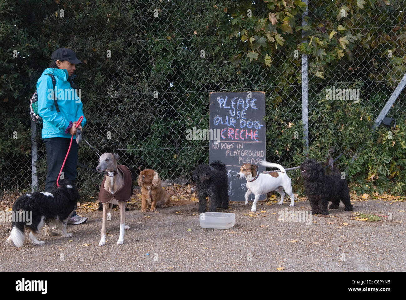 Crèche à l'extérieur un chien Farmers Market London UK 2011 HOMER SYKES Banque D'Images