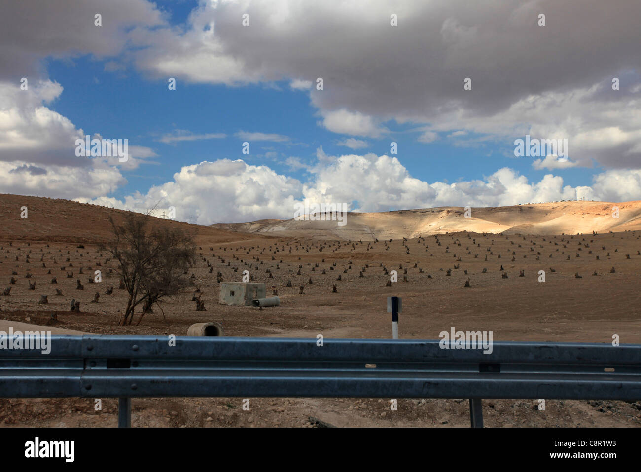 Une installation artistique de couper les oliviers le long de la route près de la colonie juive de Maale Edumim Cisjordanie Israël Banque D'Images