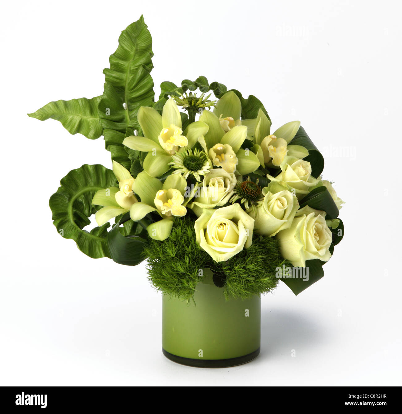 Un bouquet de fleurs dans un vase. Roses crème, fleurs cône [l'échinacée], Orchidées Cymbidium [] Banque D'Images