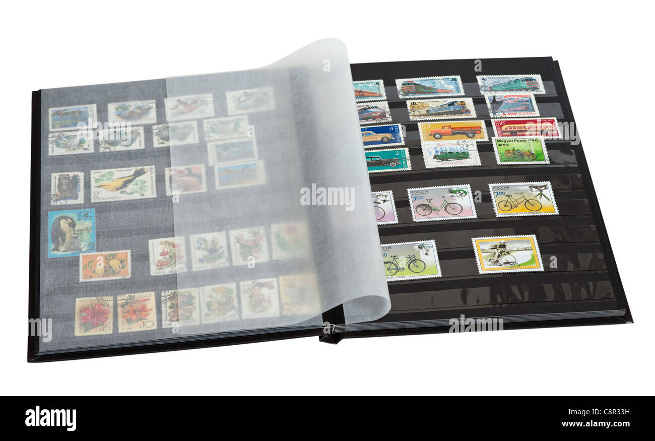 RUNRAYAY 10 feuilles de pages de tibres pour classeur d'albu de