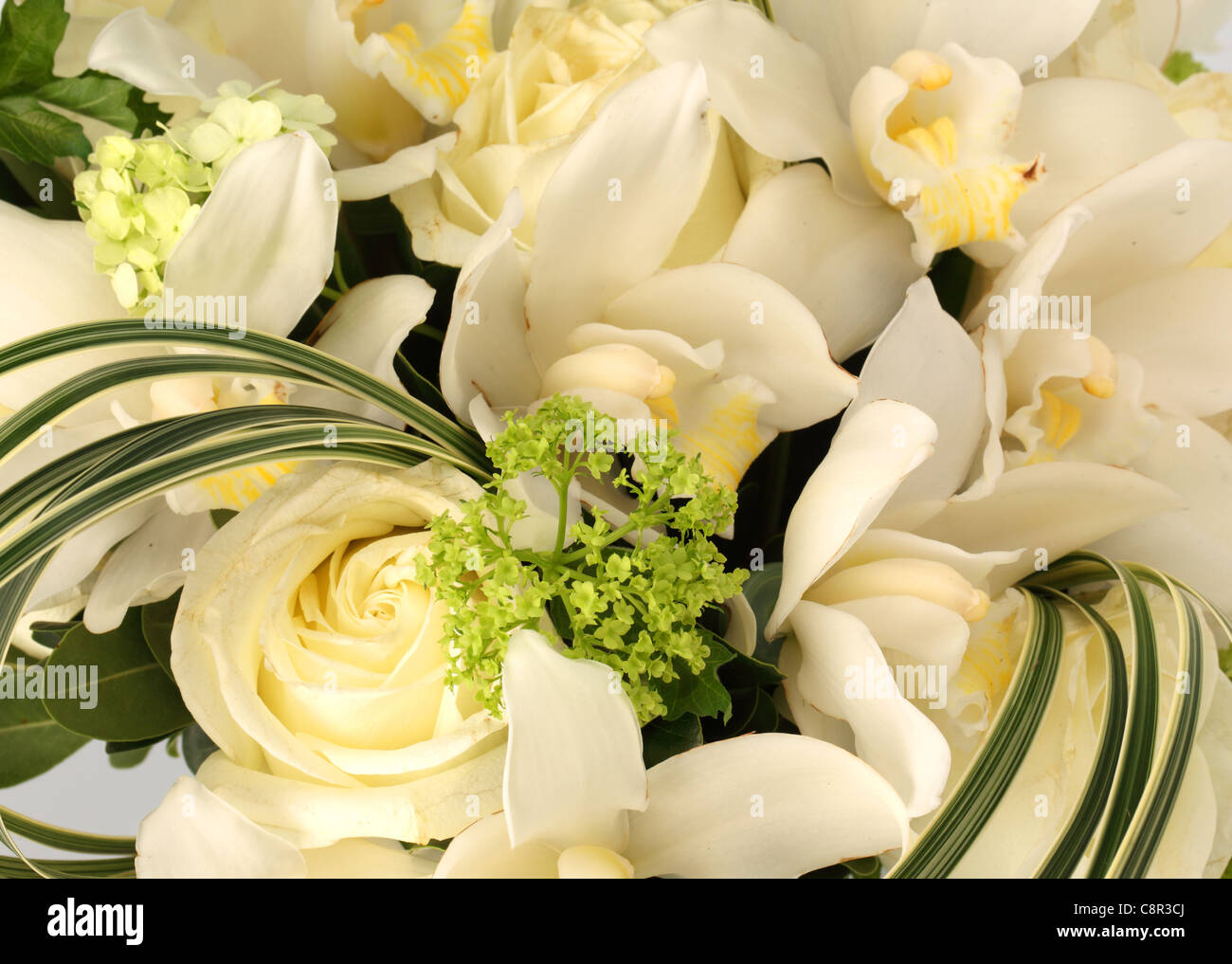 Un gros plan d'un bouquet de fleurs colorées. Orchidées Cymbidium [blanc] , hortensias. Banque D'Images