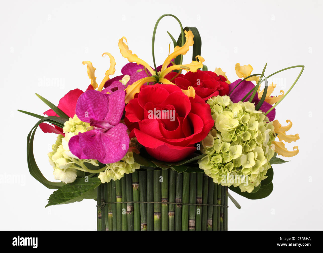 Un bouquet de fleurs dans un vase. Roses rouges, crème hortensia, orchidée jaune [Diplocentrus], orchidée pourpre [Vanda] Banque D'Images