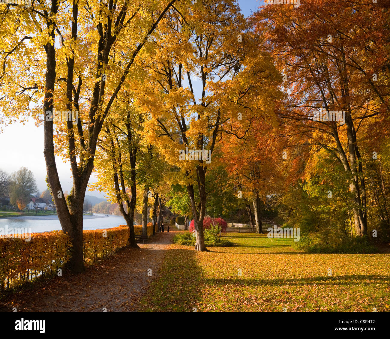 DE - BAVARIA : Scène d'automne à 'am...' dans Bad Toelz Banque D'Images