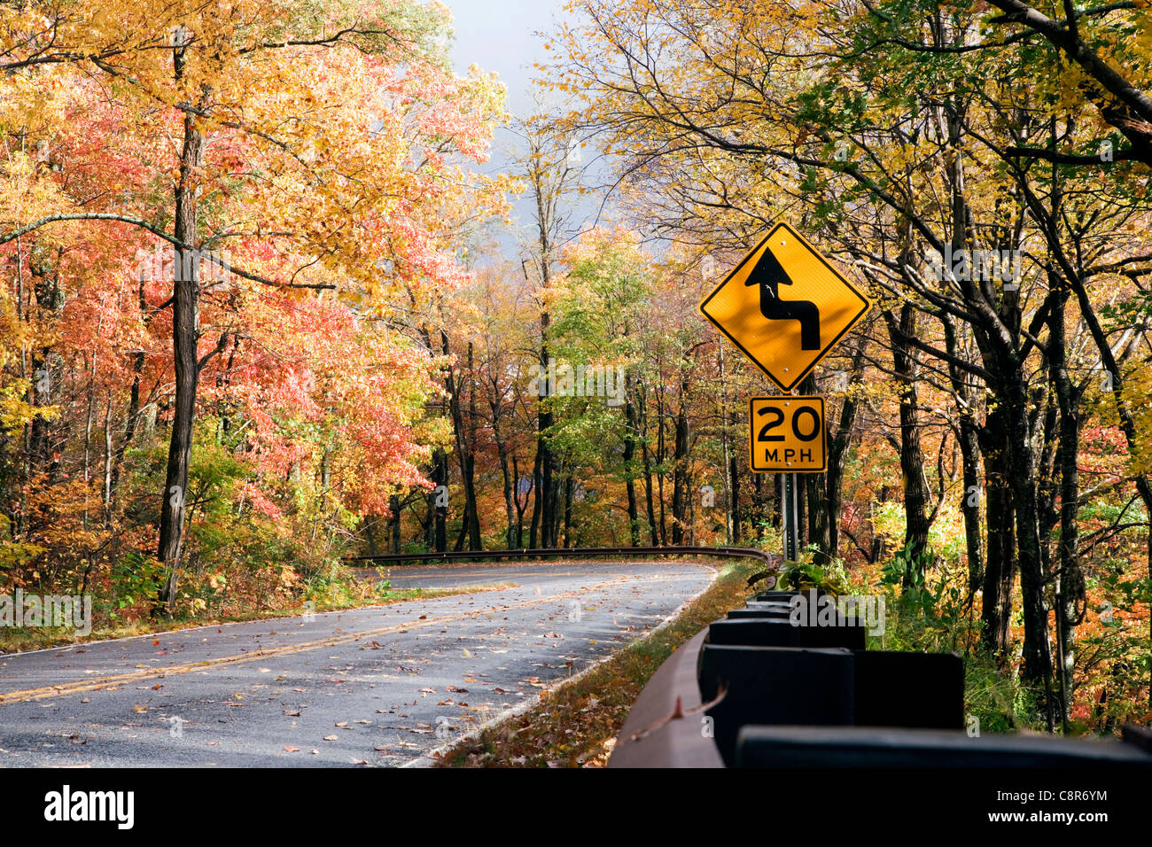 Couleurs d'automne sur la route à travers la forêt nationale de Pisgah - près de Brevard, North Carolina USA Banque D'Images