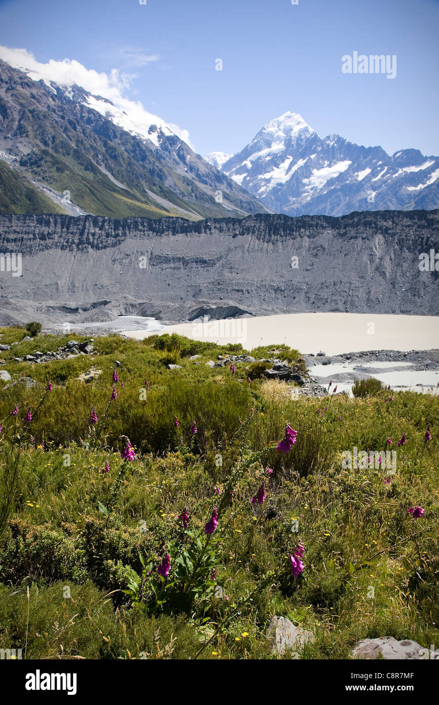 Vue sur le Mont Cook, Nouvelle-Zélande Banque D'Images