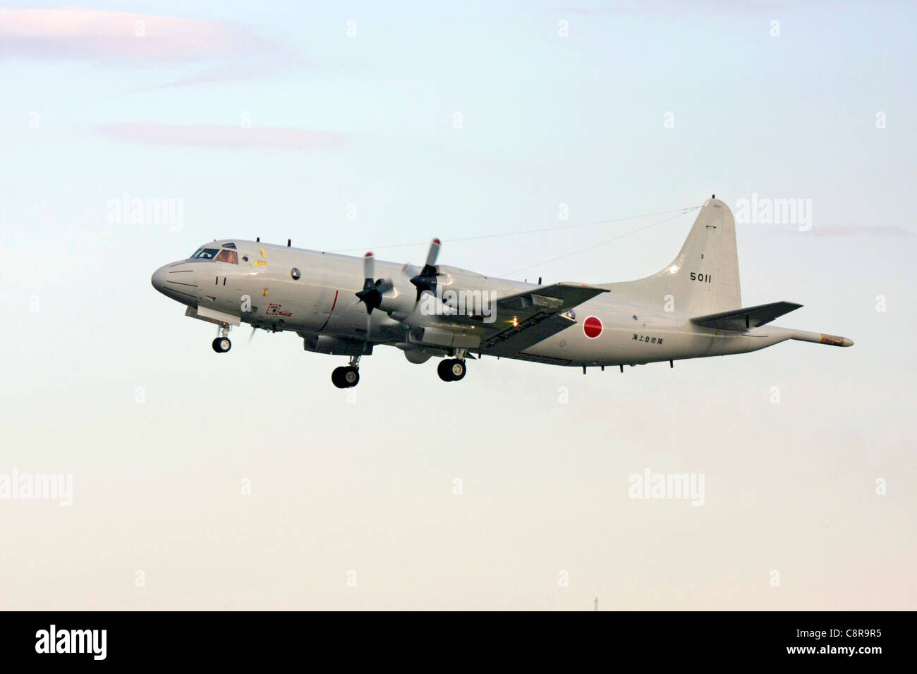 Lockheed P-3C Orion du Japon d'autodéfense maritime de la Force aérienne de la flotte Banque D'Images