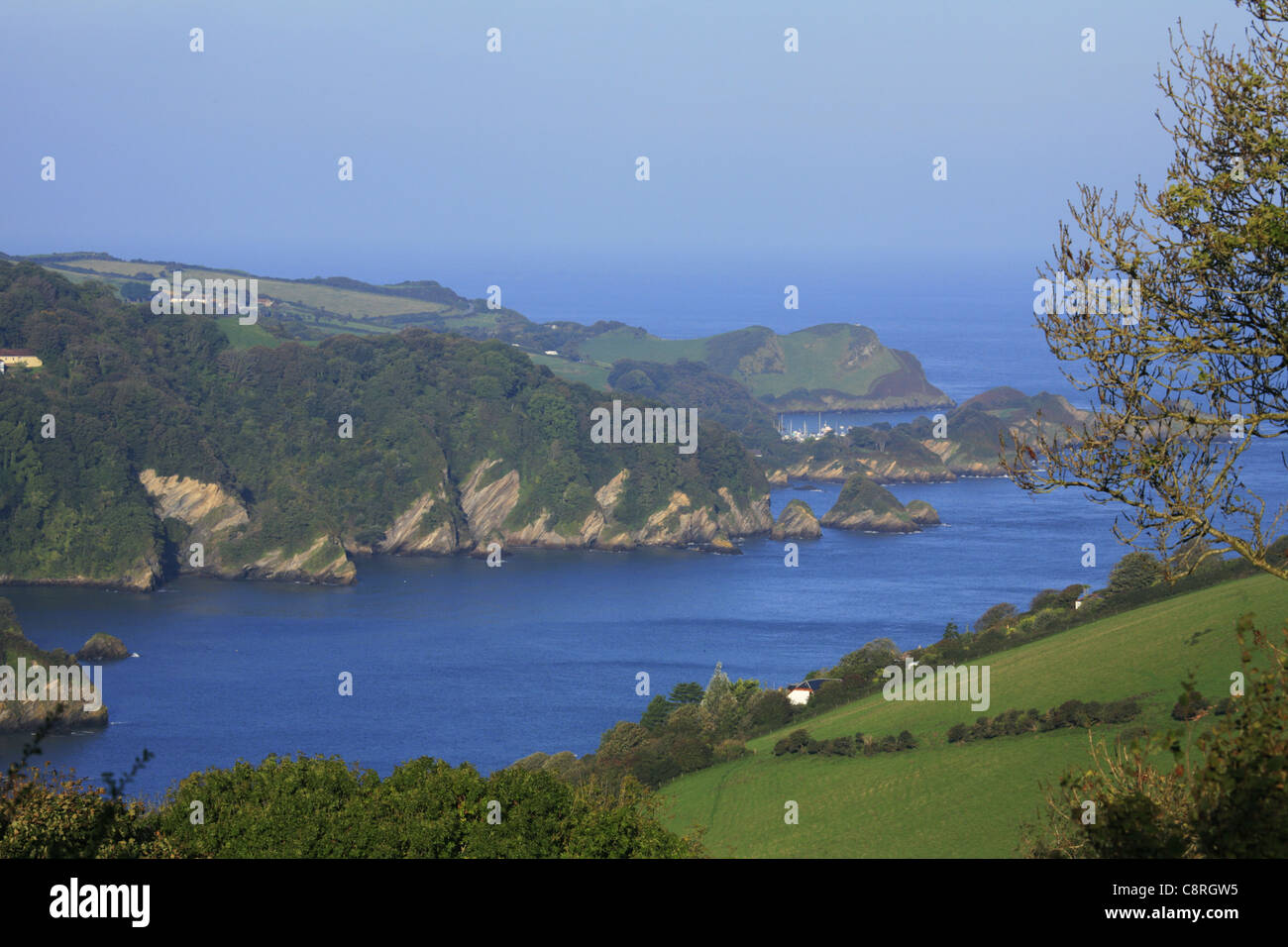 Côte au Combe Martin, Devon, Angleterre Banque D'Images