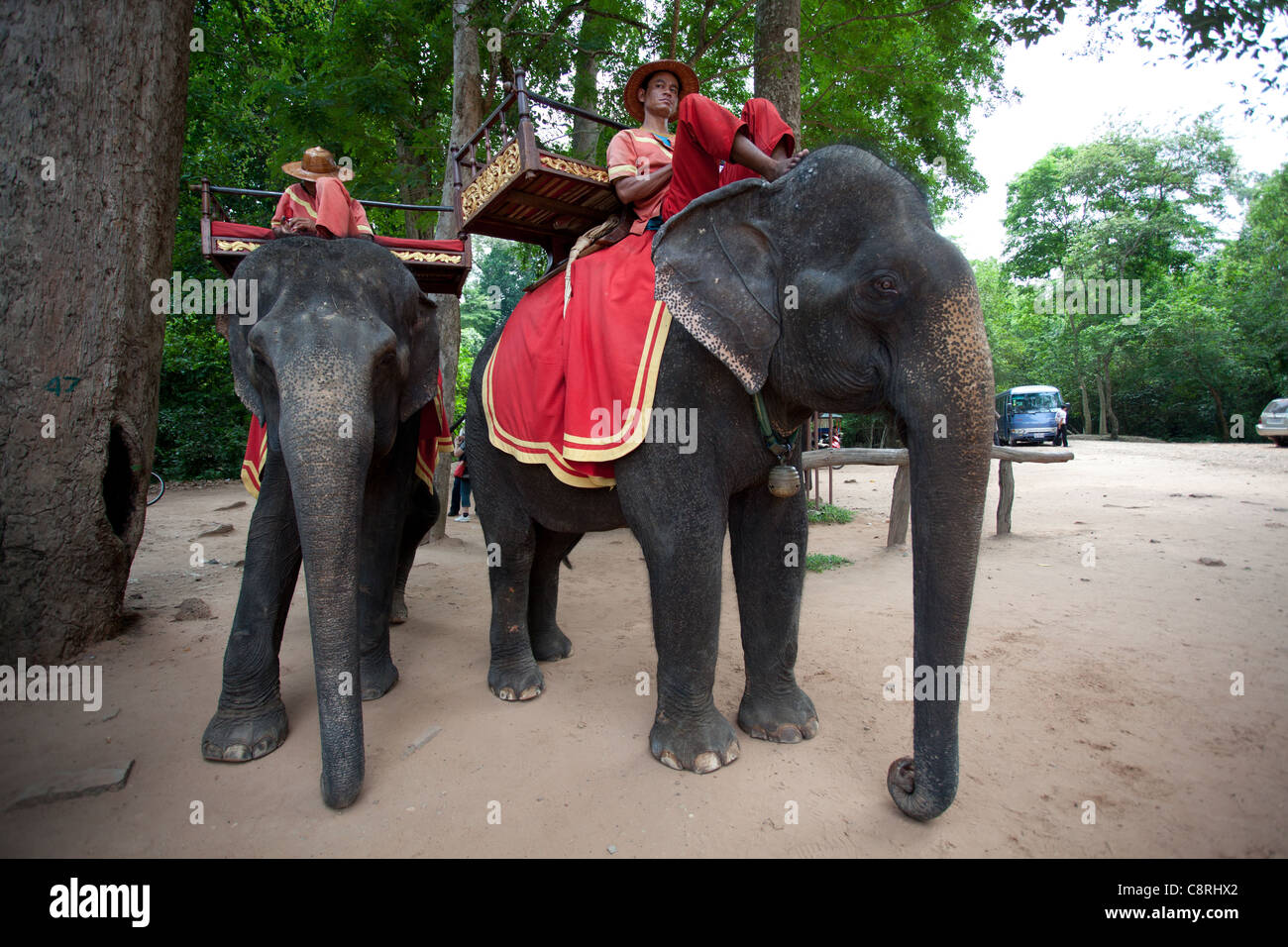 Tour d'éléphant au temple Bayon, Angkor Thom, au Cambodge Banque D'Images