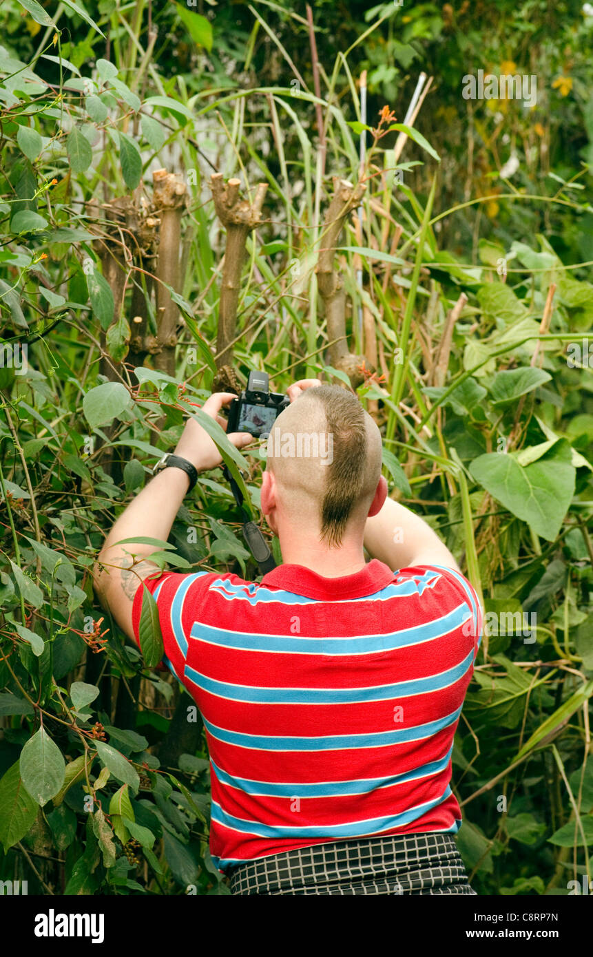 Jeune homme avec une coiffure Mohican de prendre une photo d'un papillon tropical captif avec un appareil photo compact. Banque D'Images