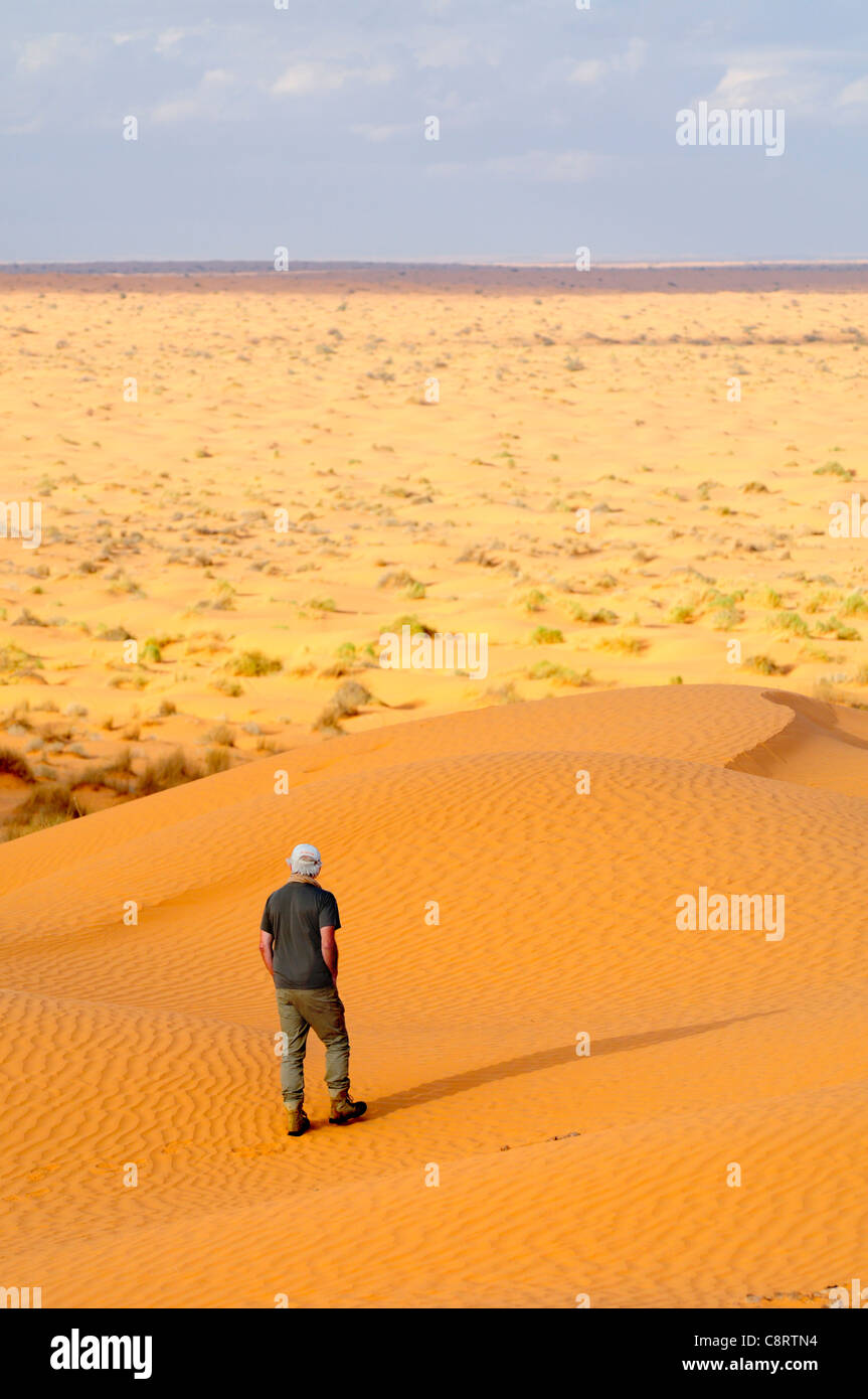 L'Afrique, Tunisie, nr. Ksar Rhilane. Bénéficiant d'un tourisme du désert à pied le long des magnifiques dunes de sable du Sahara. Banque D'Images