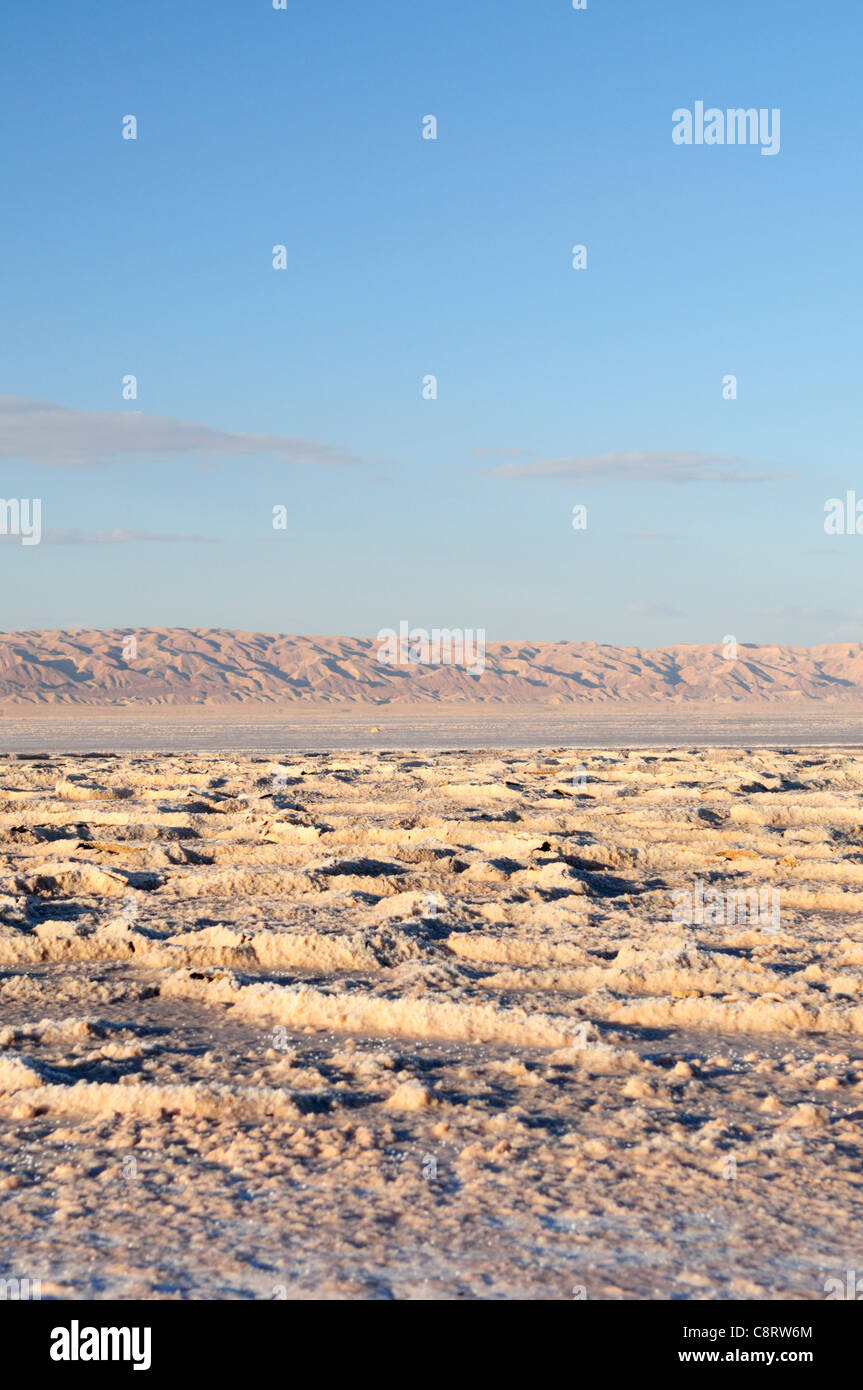 L'Afrique, Tunisie, Chott el Jerid entre Kébili et Tozeur. Croûte salée sur le Chott el Jerid, dans le sud de la Tunisie. Banque D'Images