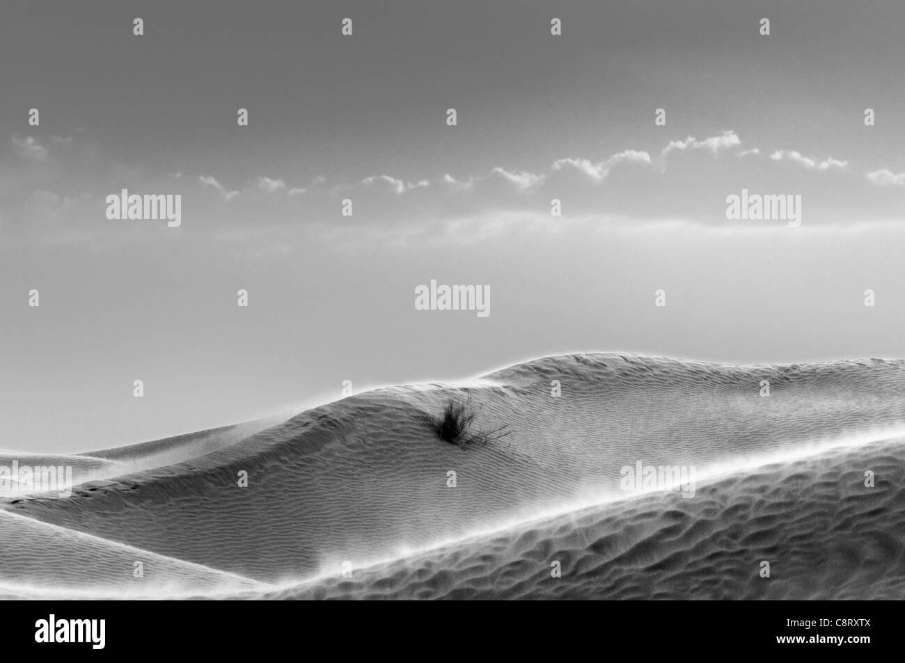 L'Afrique, Tunisie, nr. Ksar Rhilane. Tempête de sable au coucher du soleil dans les dunes de sable à l'ouest de Ksar Ghilane à la périphérie est de ... Banque D'Images