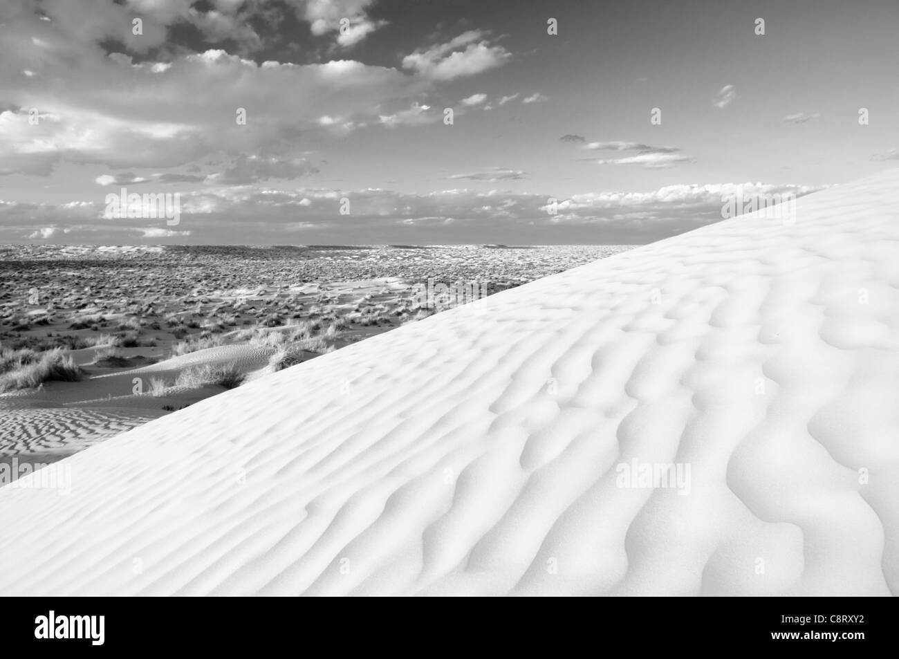 L'Afrique, Tunisie, nr. Ksar Rhilane. Le beau coucher de soleil dans le Sahara dunes de sable au nord-est de Ksar Ghilane. Banque D'Images