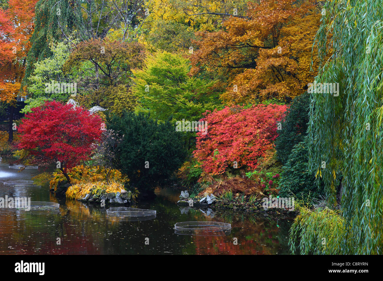 Encore tranquille tranquille eau riche automne couleurs d'automne Banque D'Images