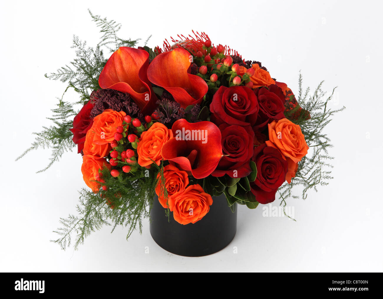 Un bouquet coloré de fleurs dans un vase. Roses Orange & rouge, rouge, rouge callas proteas, pulvérisations pourpre inconnu Banque D'Images