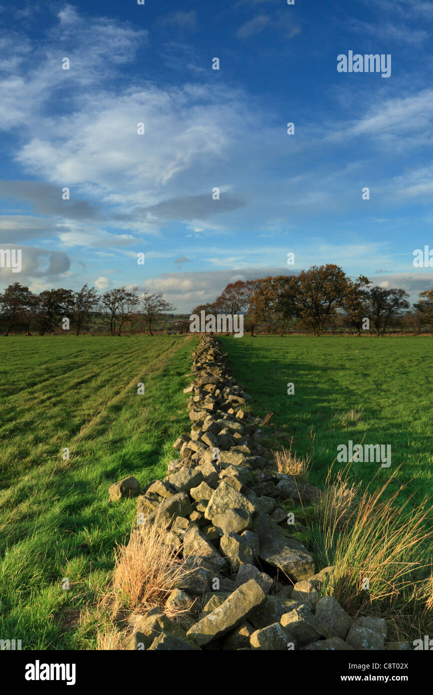 Un mur de pierre le long Knabs Ridge près de Harrogate dans le Yorkshire Banque D'Images