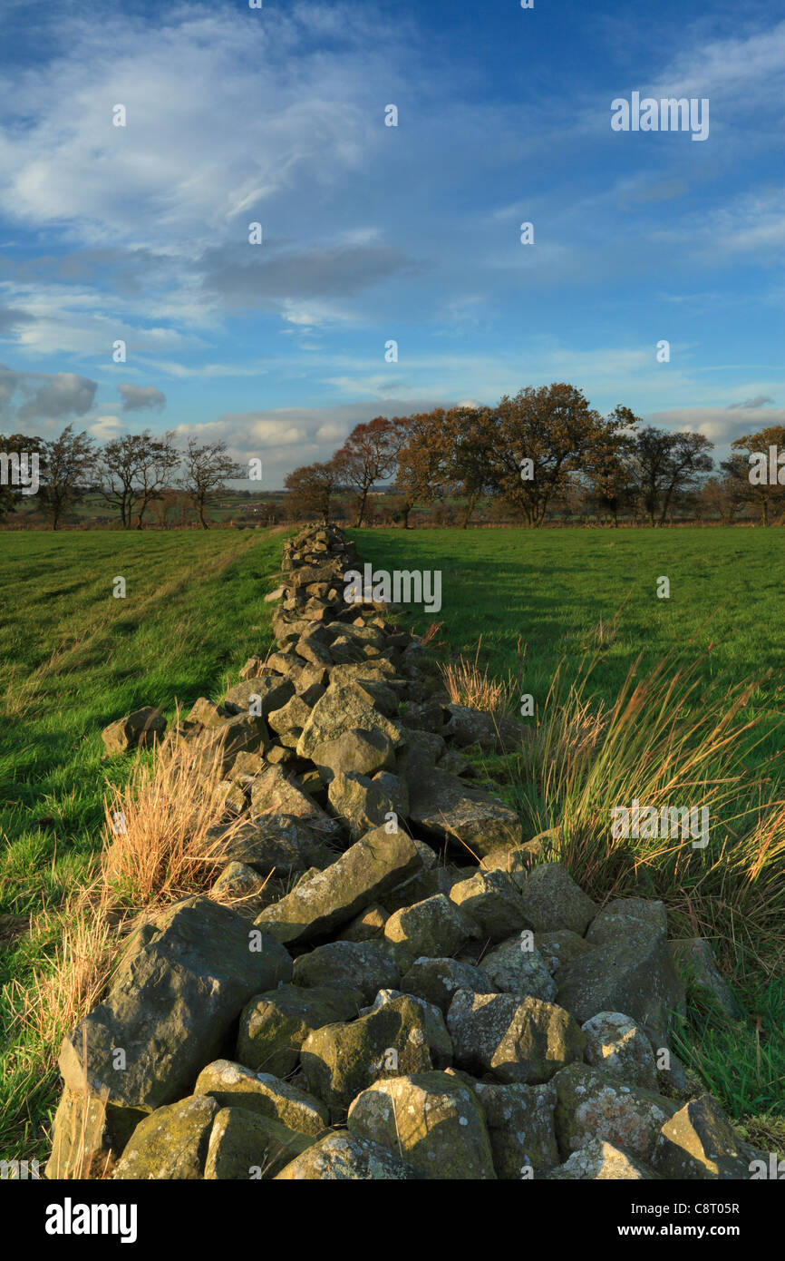 Un mur de pierre le long Knabs Ridge près de Harrogate dans le Yorkshire Banque D'Images