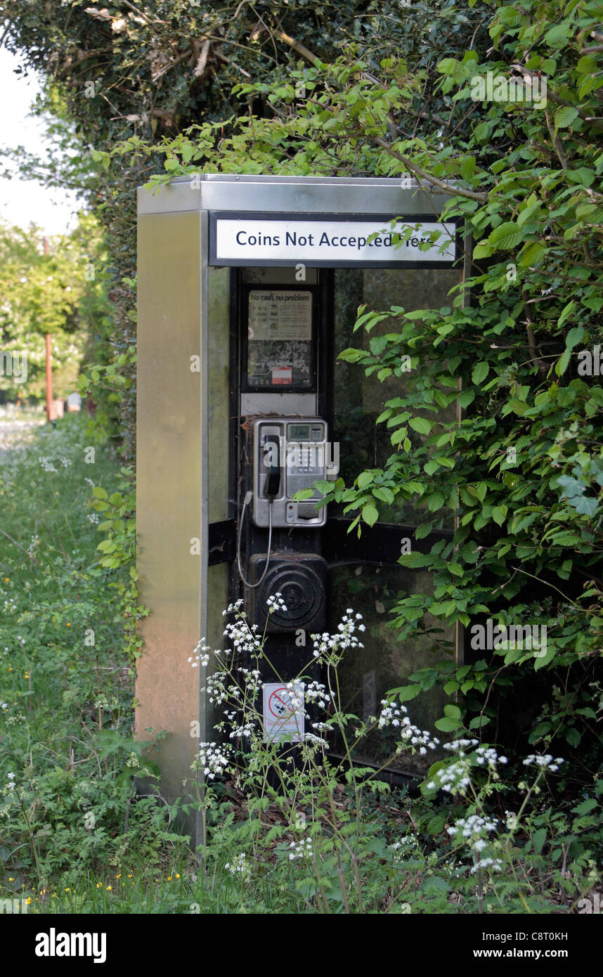 Envahis par les buissons autour d'un British Telecom (BT) téléphone fort sur un chemin de campagne près de Wendover, España. Banque D'Images