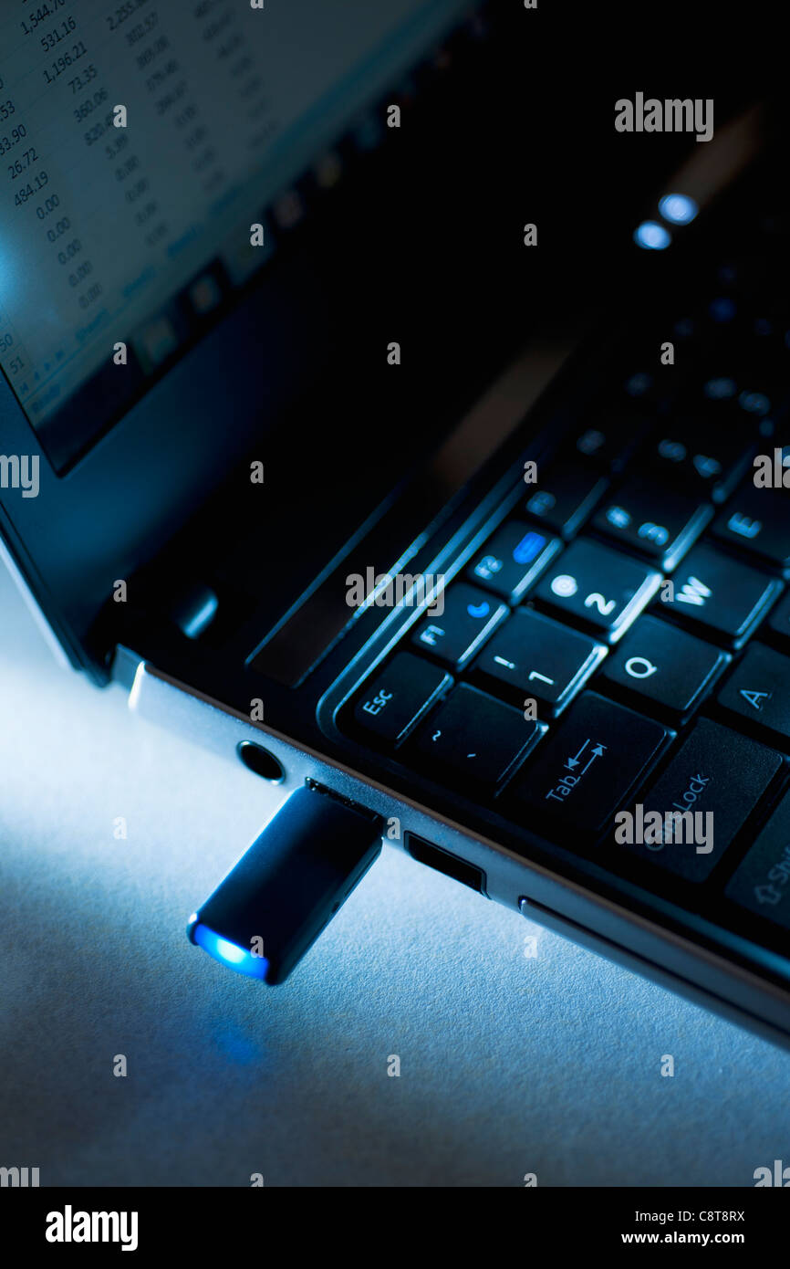 Portrait de lecteur flash dans coffre Banque D'Images