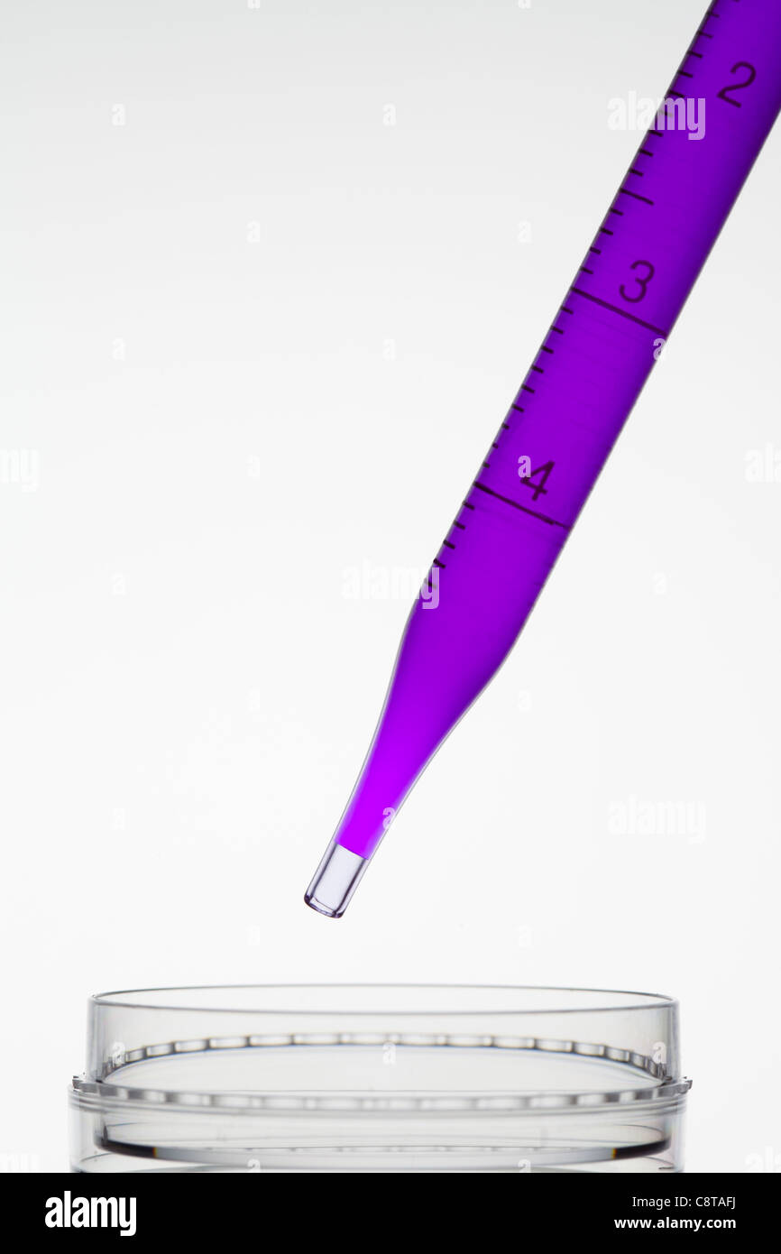 Compte-gouttes et Jar Banque D'Images