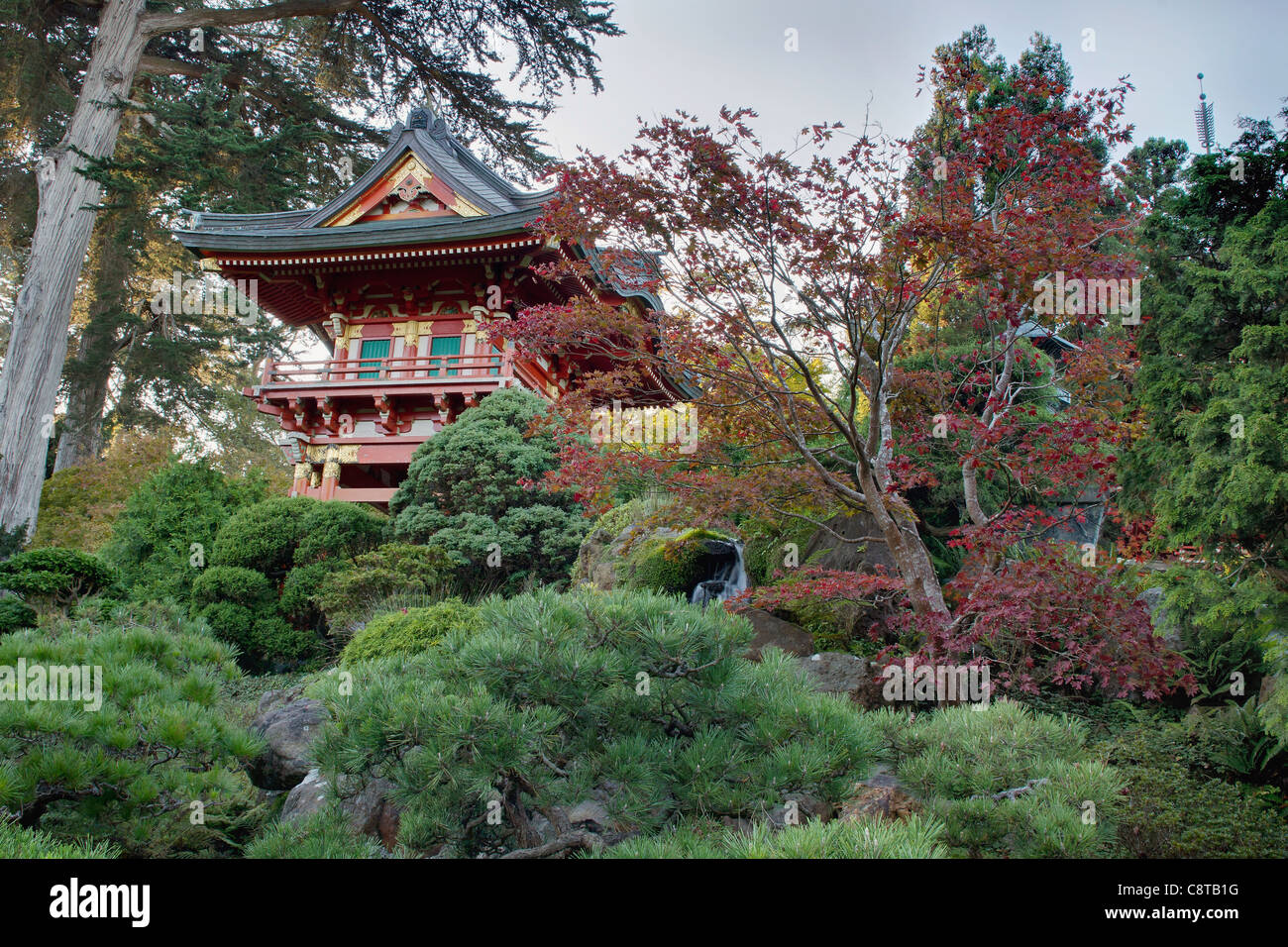 La pagode à couleur jardin Japonais à San Francisco Golden Gate Park Banque D'Images