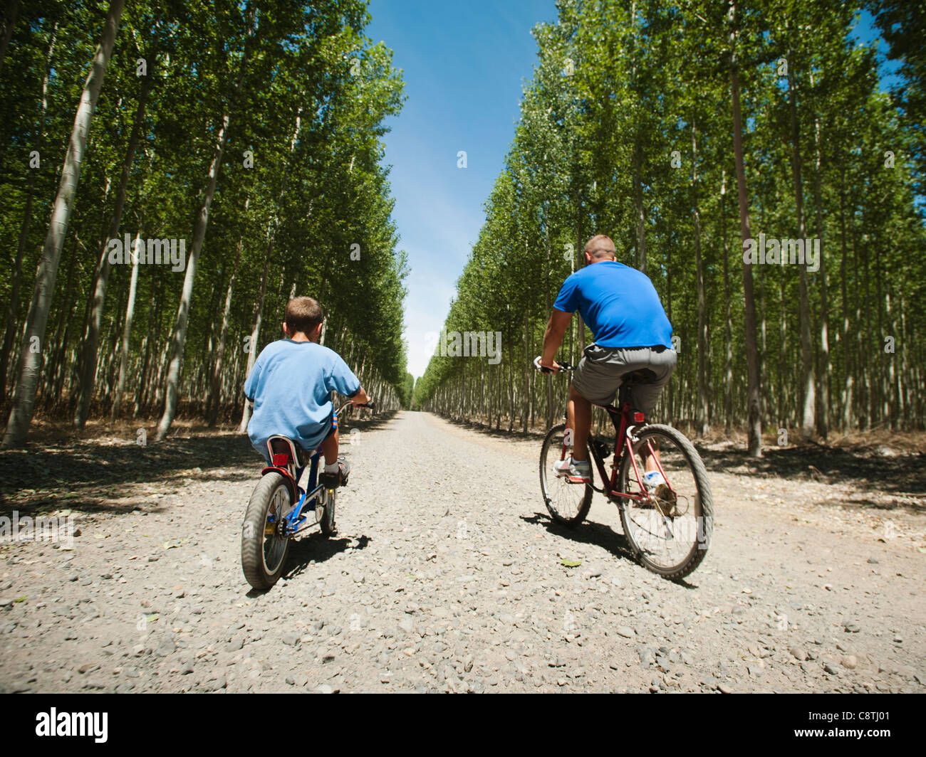 USA, Ohio, Boardman, père avec son cycling jusqu'country road Banque D'Images
