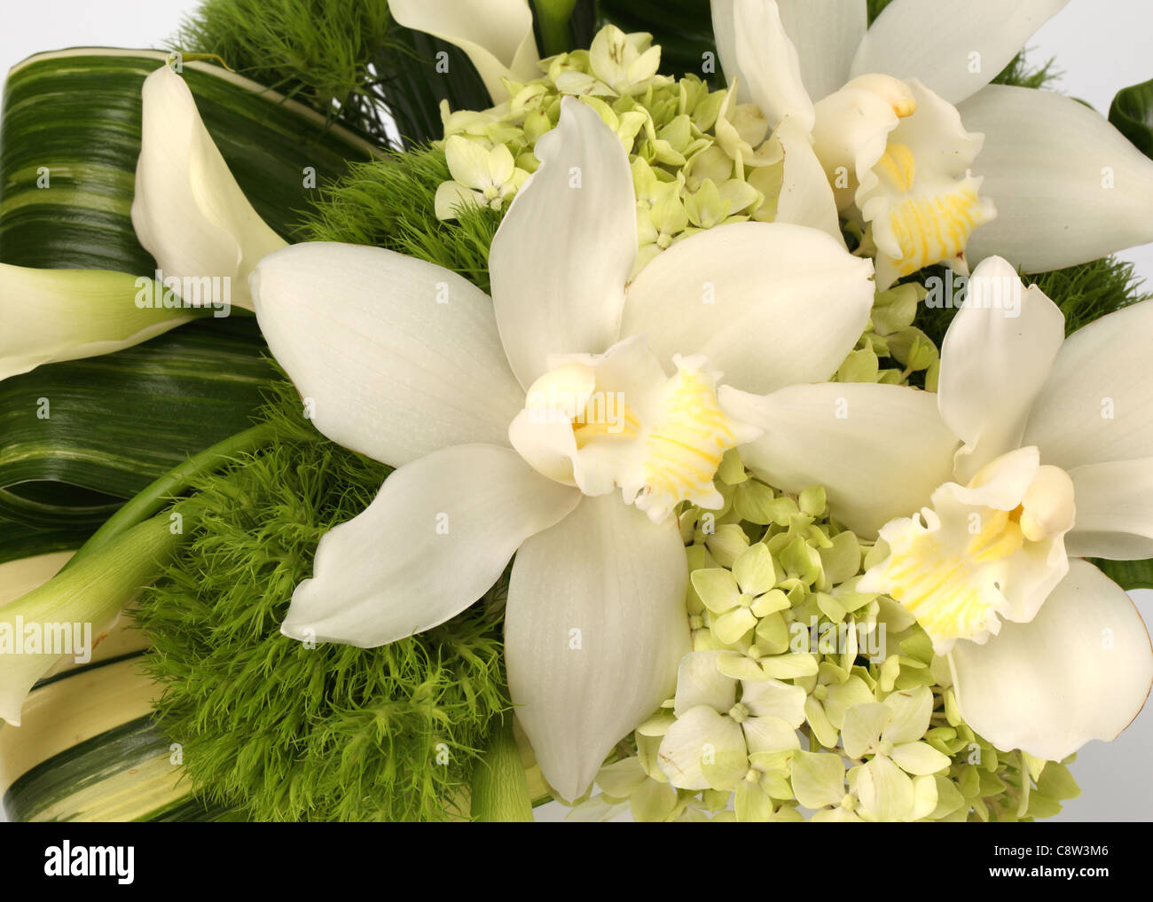 Un gros plan d'un bouquet de fleurs colorées. Orchidées Cymbidium blanc lis calla blancs, crème, l'hydrangea Banque D'Images