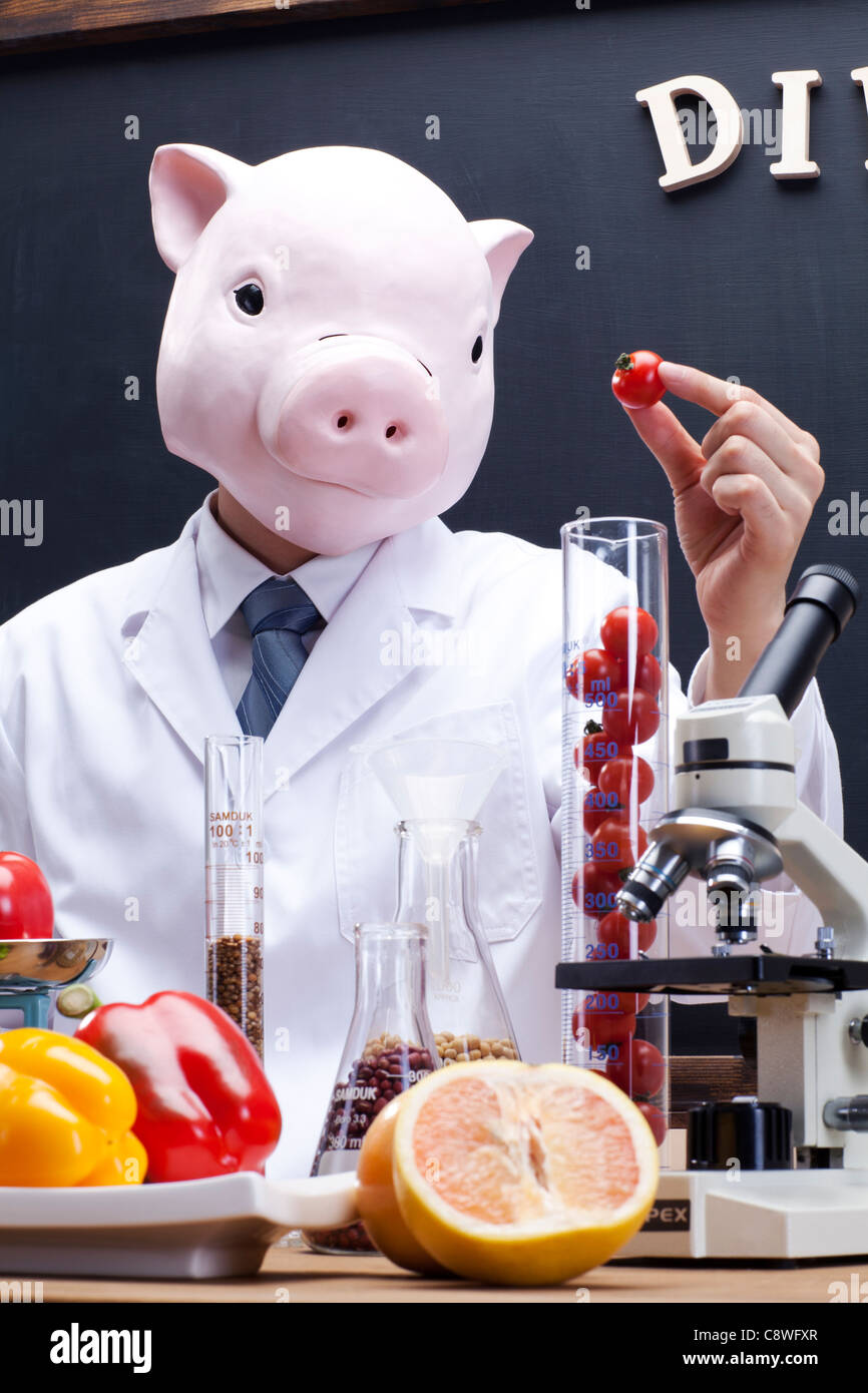 Tête de porc Alimentation Nutritionniste expérimenter avec des légumes Banque D'Images