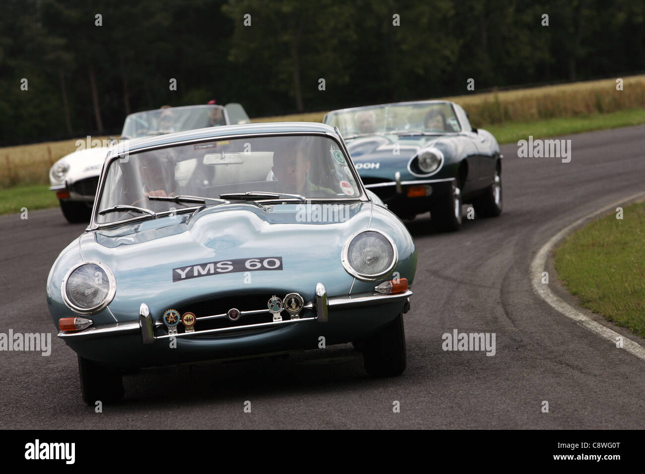 E Type Jaguar, Circuit de course automobile à Croft, Yorkshire du Nord. Banque D'Images