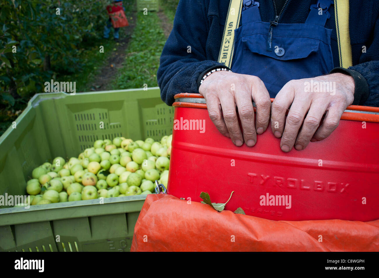 Agriculteur apple avec la pomme verte Banque D'Images