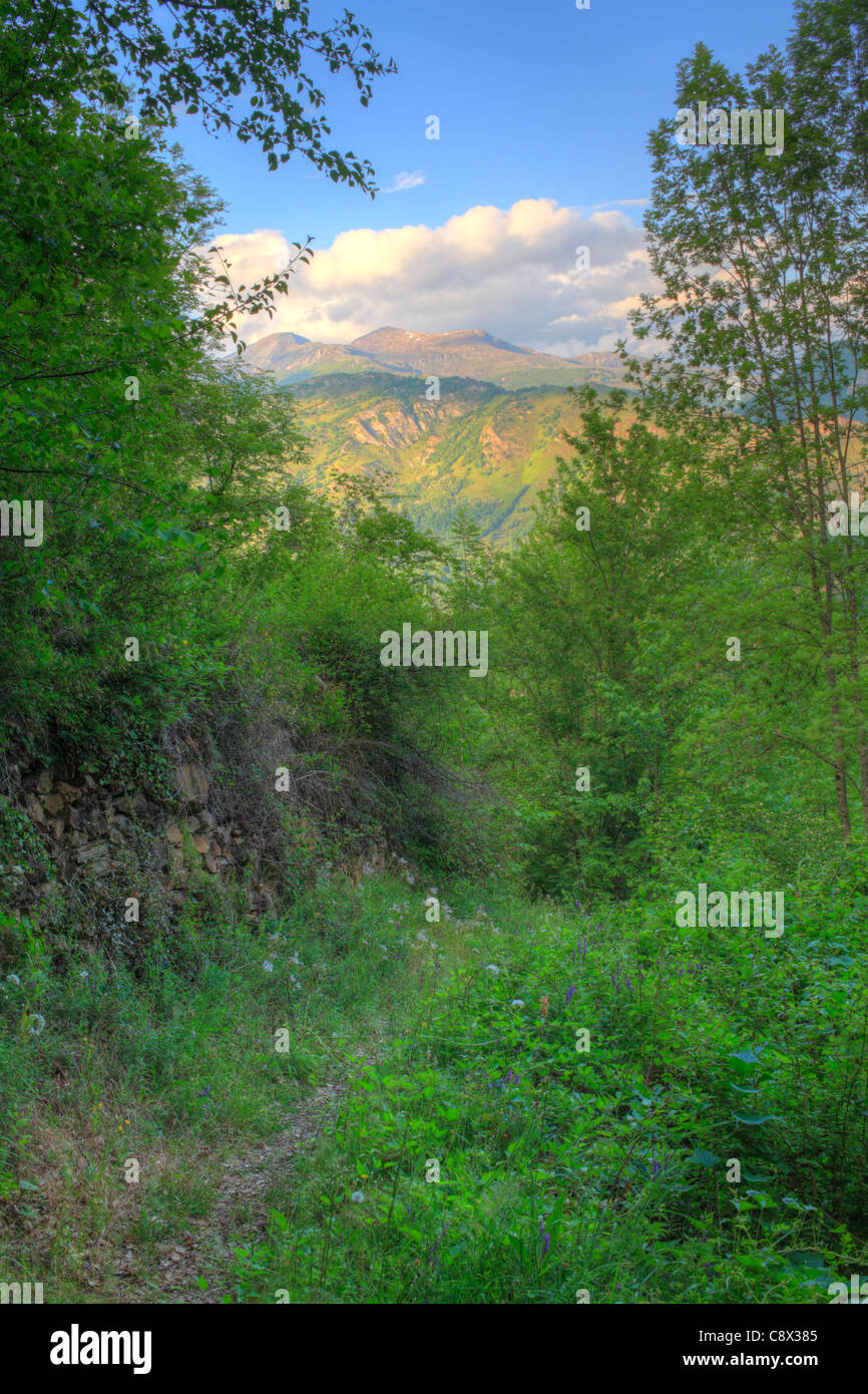 Sentier de montagne avec une vue vers Les Monts d'Olmes. Près de Aston, Ariege Pyrenees, France. Mai. Banque D'Images