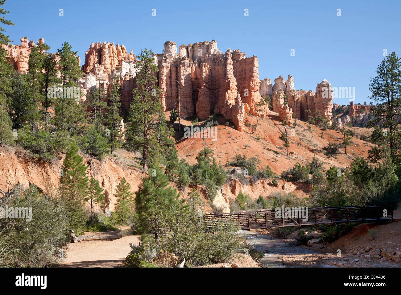 Vue panoramique Sentier moussu, Bryce Canyon, l'Amérique, USA Banque D'Images