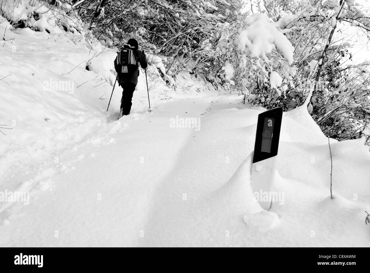 Promenades en forêt neige randonneurs Banque D'Images