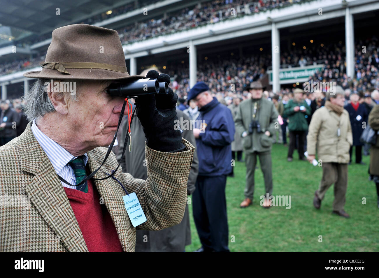 Un homme âgé à regarder les courses de chevaux au Festival de Cheltenham. L'Angleterre Banque D'Images