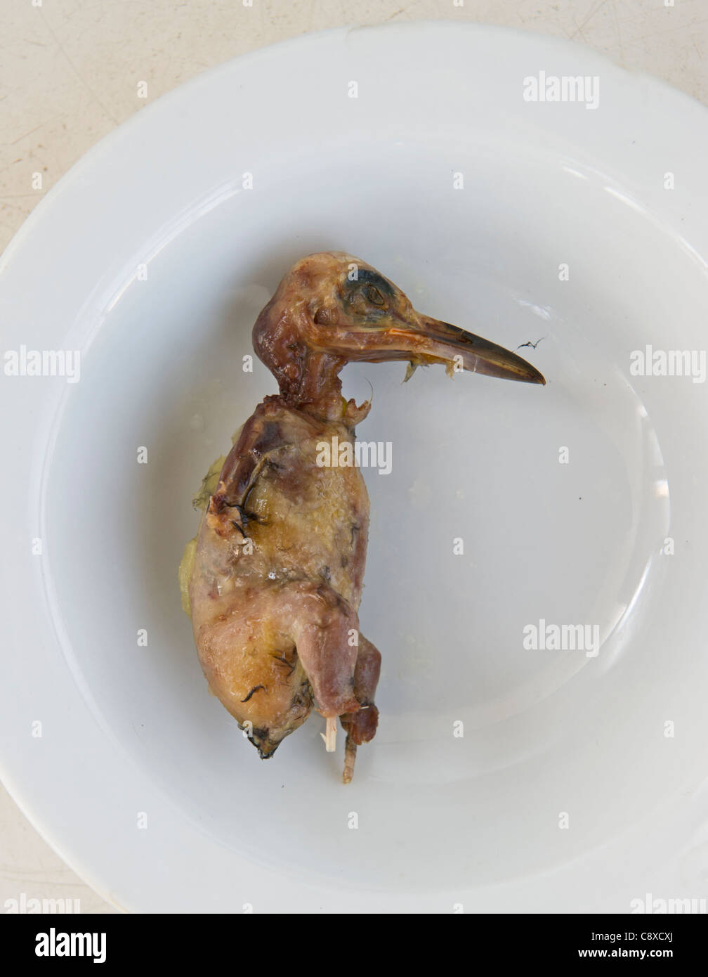 (Ambelopoulia signifie oiseaux des vignes) petits oiseaux migrateurs préparé pour manger (Grand Reed Warbler) Chypre Septembre Banque D'Images