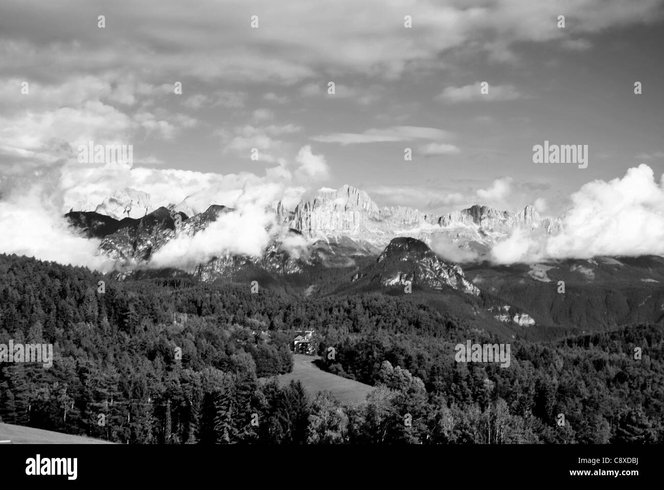 Très beau paysage de montagne avec arbres de renon, l'Italie, le Tyrol du Sud Banque D'Images