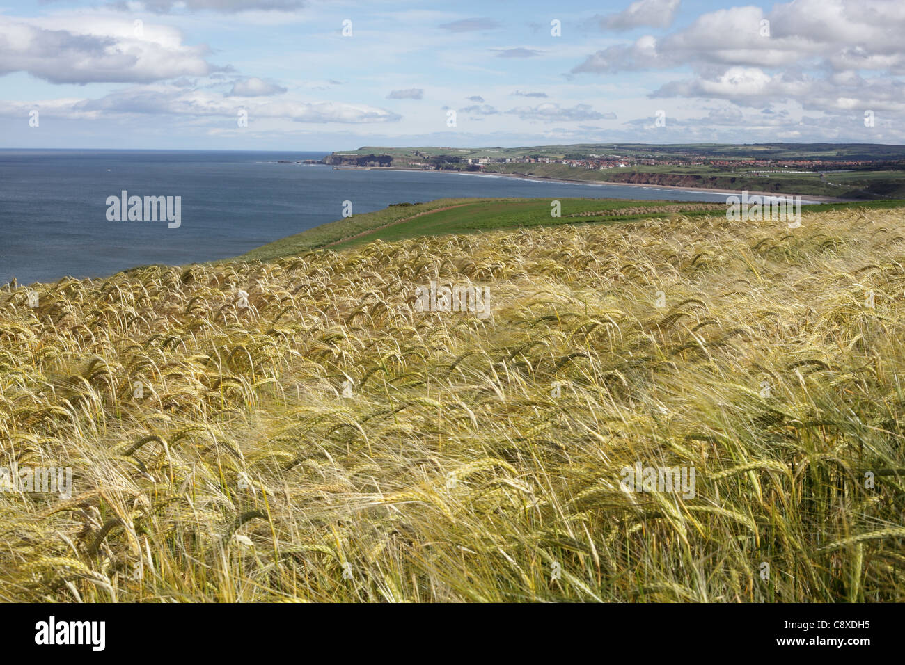 Whitby de Sandsend, East Yorkshire Coast, Juin 2011 Banque D'Images
