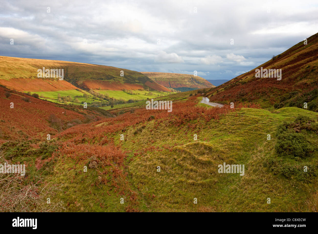 À la tête de l'Évangile dans les Montagnes Noires de SE Pays de Galles où la route descend vers Llanthony. Banque D'Images