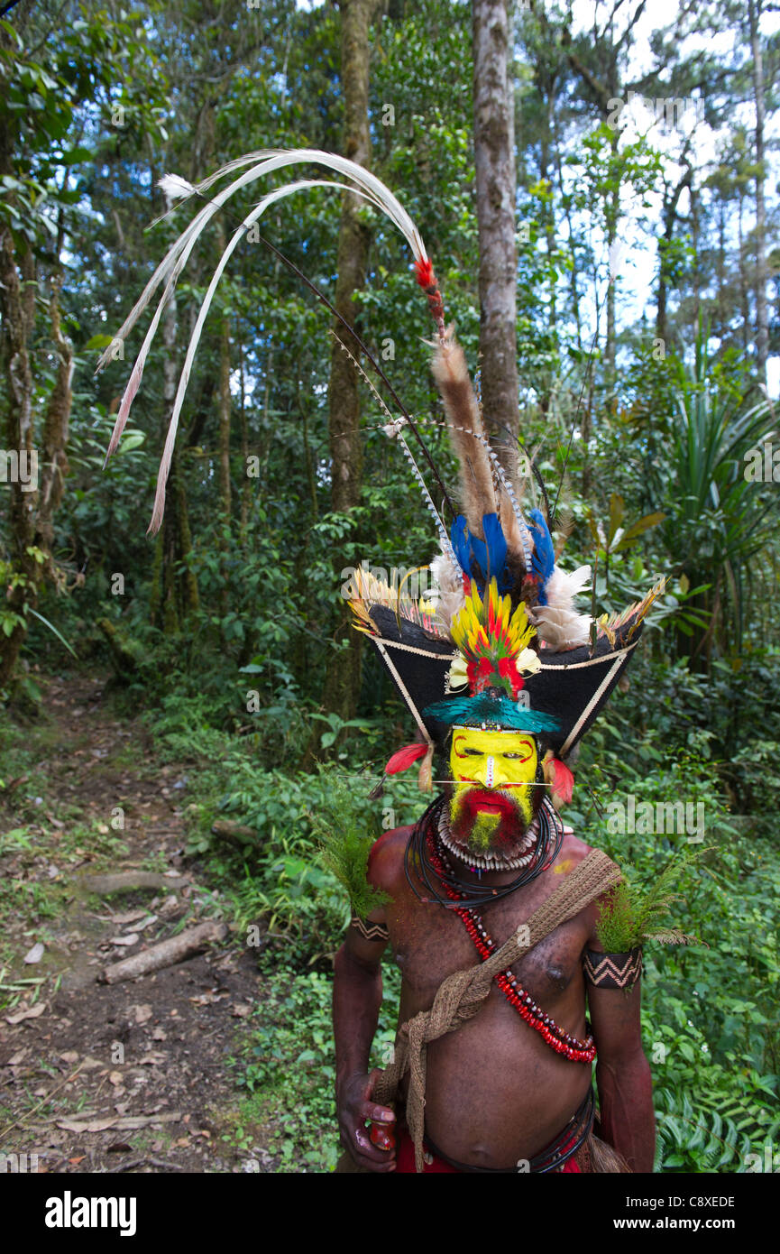 Huli Wigman portant des panaches d'oiseaux de paradis dans Tari Valley Papouasie Nouvelle Guinée Banque D'Images
