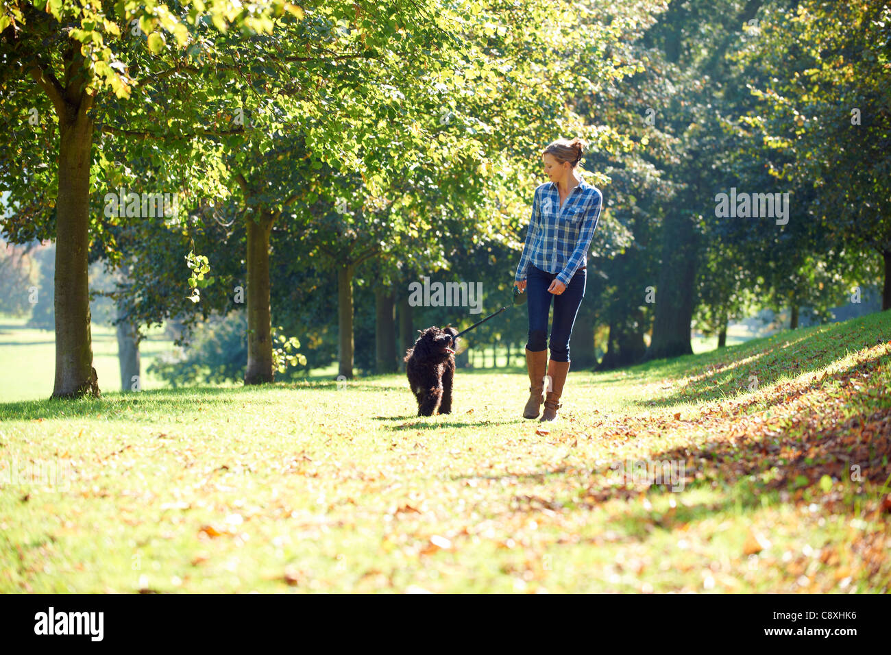 Femme promener son chien noir dans le parc par une journée ensoleillée Banque D'Images