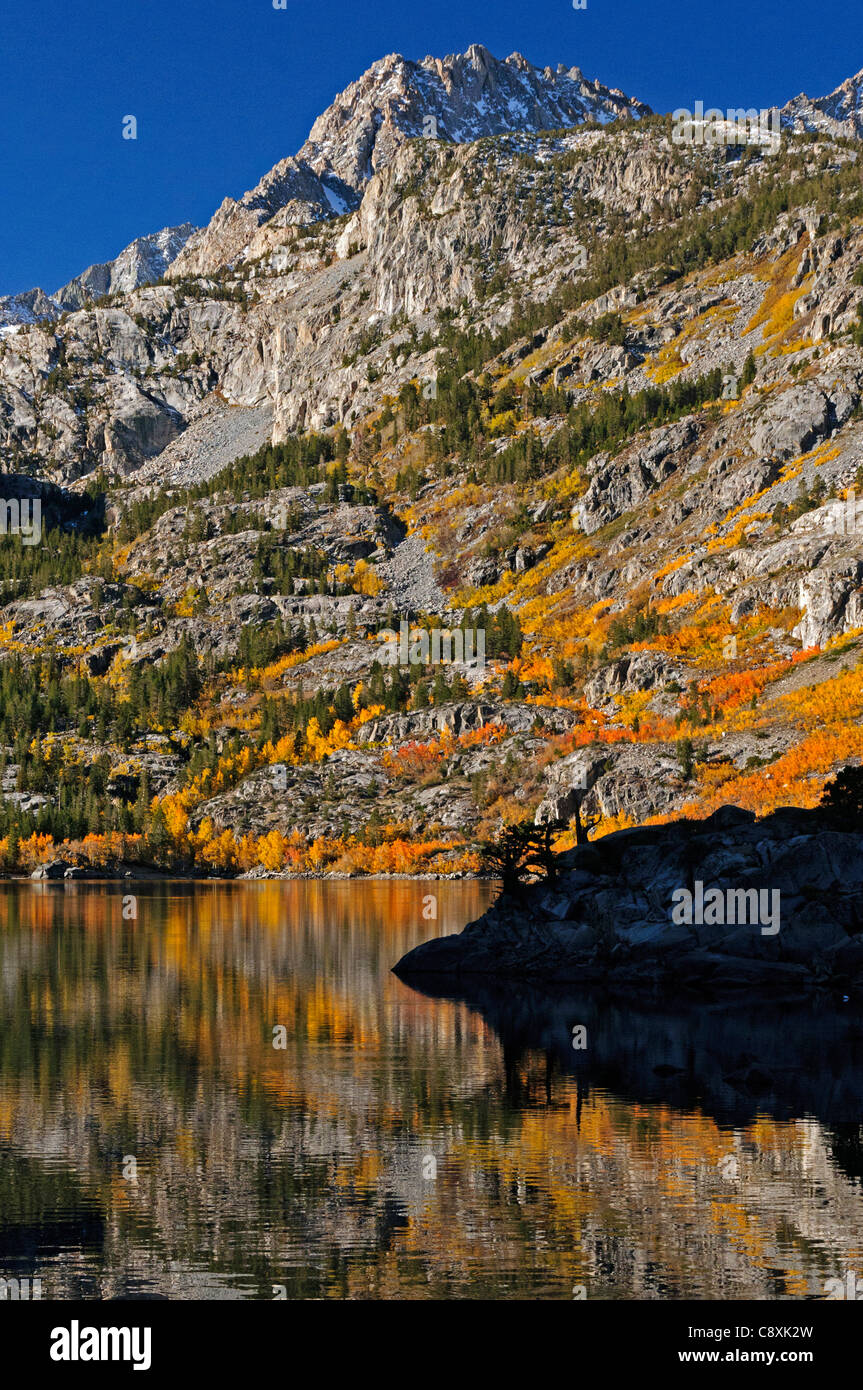 La couleur de l'automne de la Californie dans l'Est de la Sierra. Banque D'Images