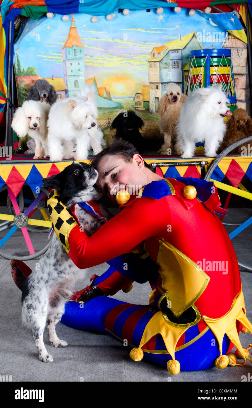 La dépression en clown arlequin embrasse son petit chien. À l'arrière-plan groupe de chiens et la peinture de la vieille ville Banque D'Images