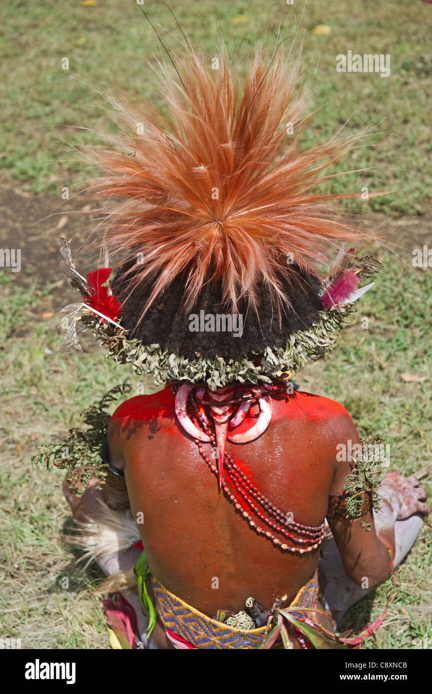 Huli Wigman ornée en tête d'oiseau de paradis dress Tari Highlands Papouasie Nouvelle Guinée Banque D'Images