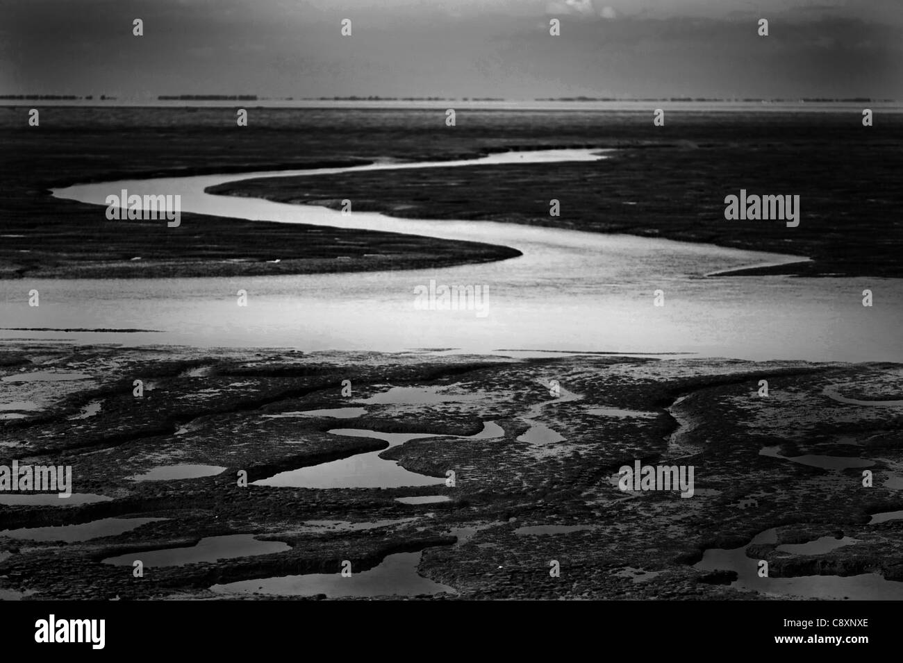 Se laver à la réserve RSPB Snettisham Norfolk à marée basse, la fin de l'été Banque D'Images