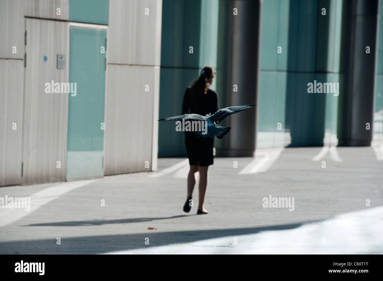 Woman walking in London street avec flying pigeon derrière elle Banque D'Images