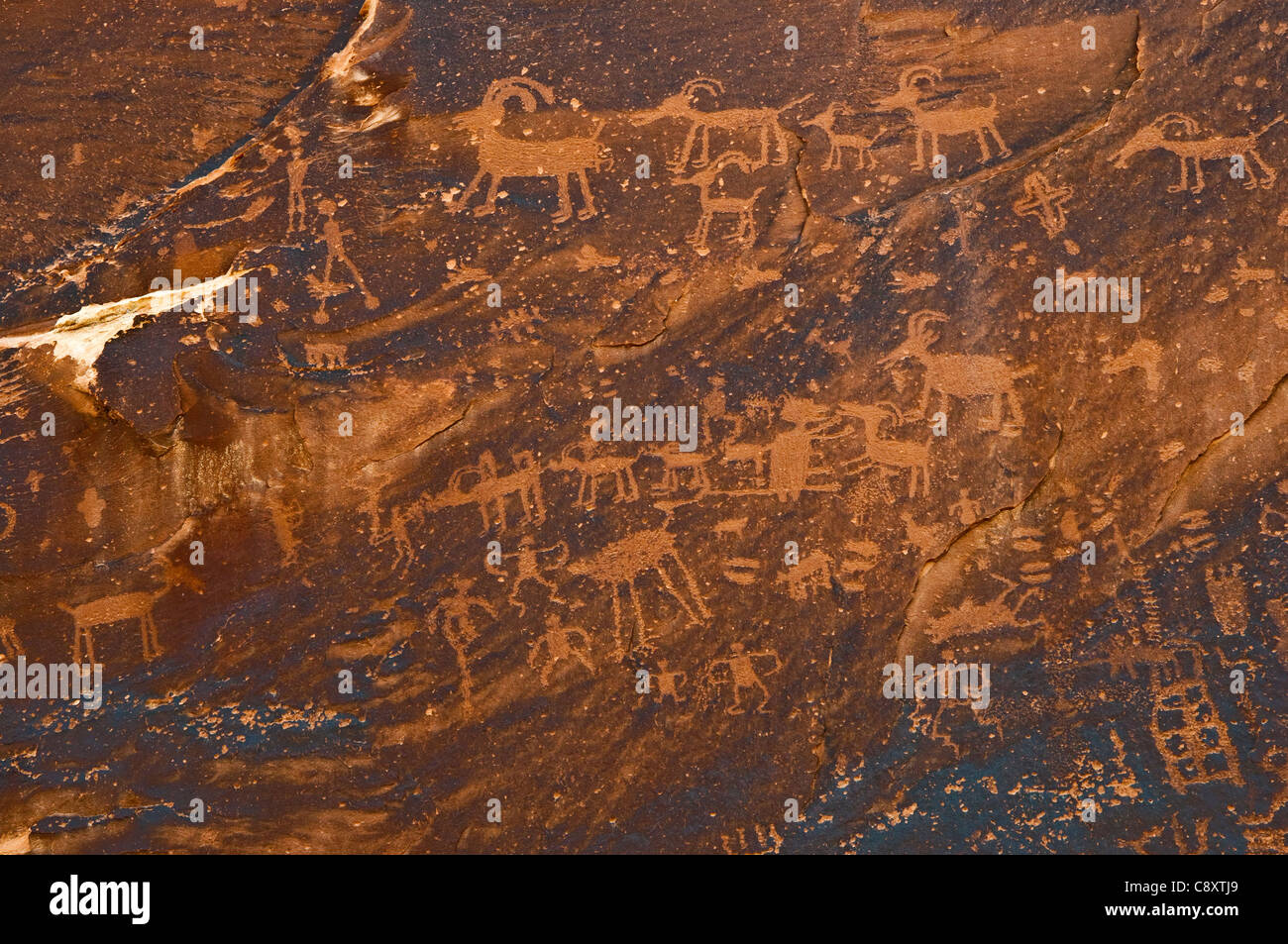 Site pétroglyphe de Sand Island au-dessus de la rivière San Juan, près de Bluff, Utah, États-Unis Banque D'Images